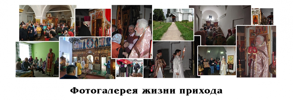 Фотогалерея 